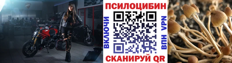 Галлюциногенные грибы прущие грибы Купить где Тарко-Сале